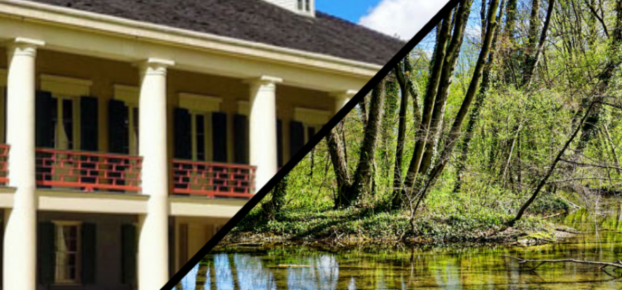 Destrehan Plantation and Swamp Tour