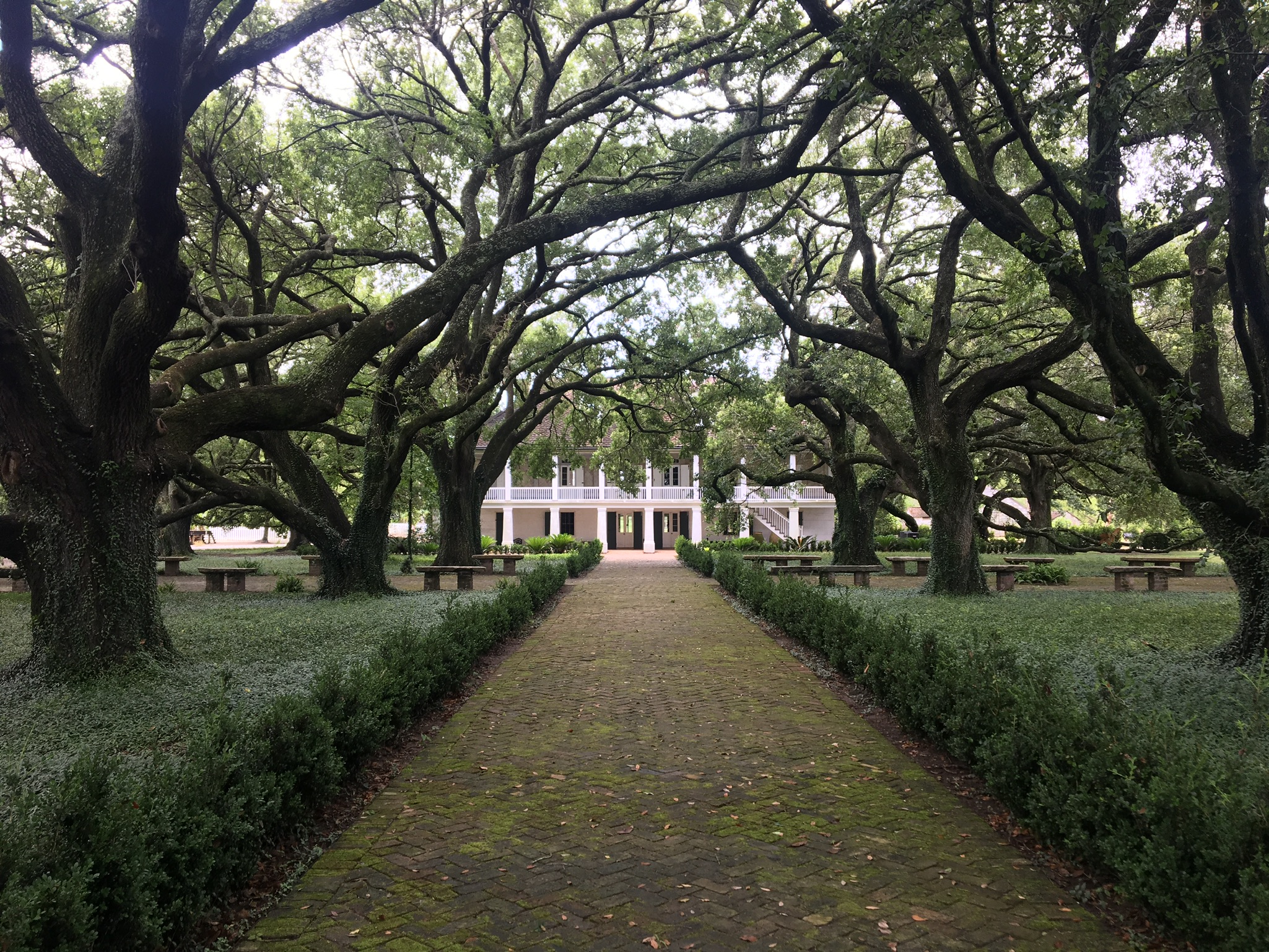 Entrance to plantation