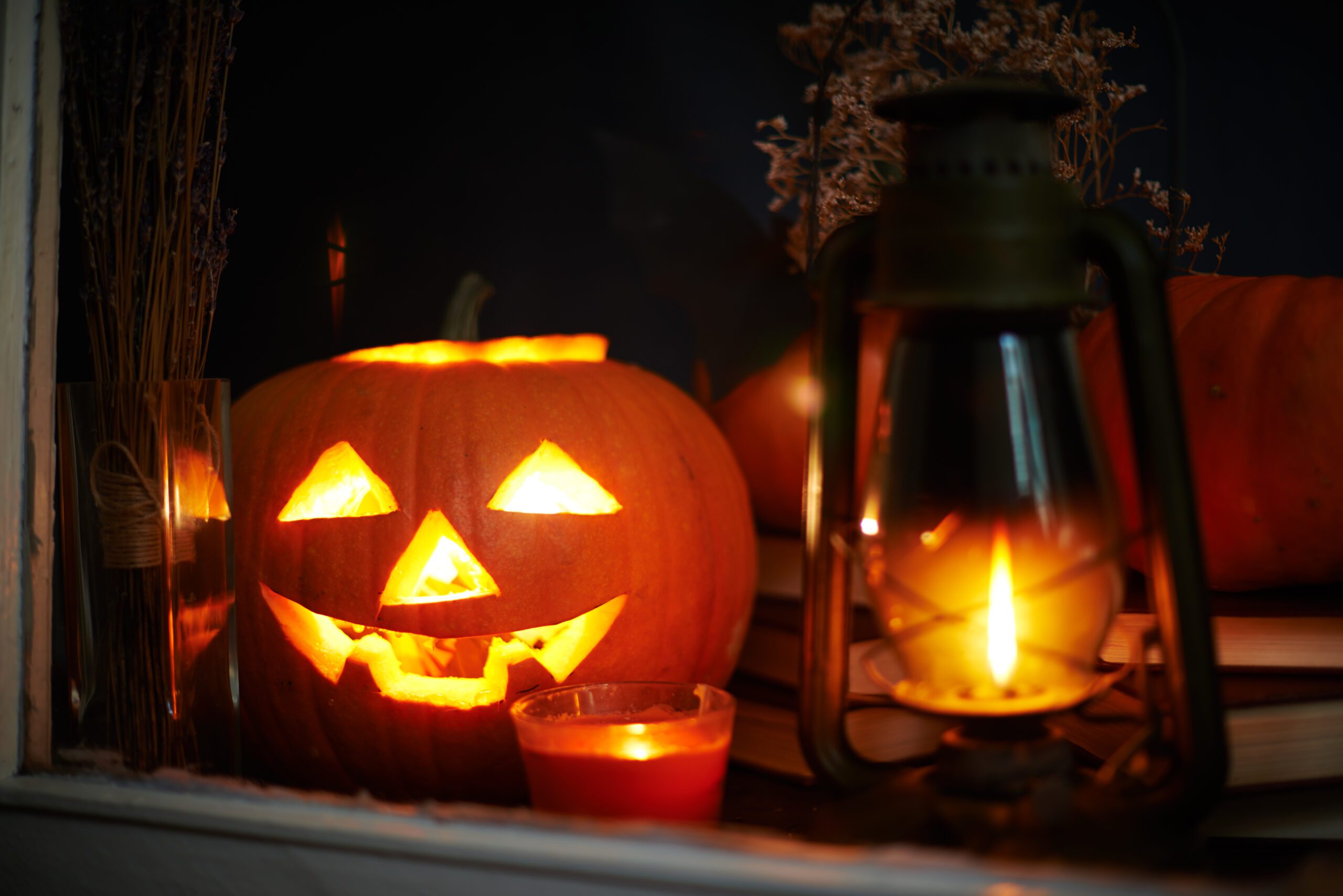 halloween in new orleans still life behind a window with a carved pumpkin and a lantern