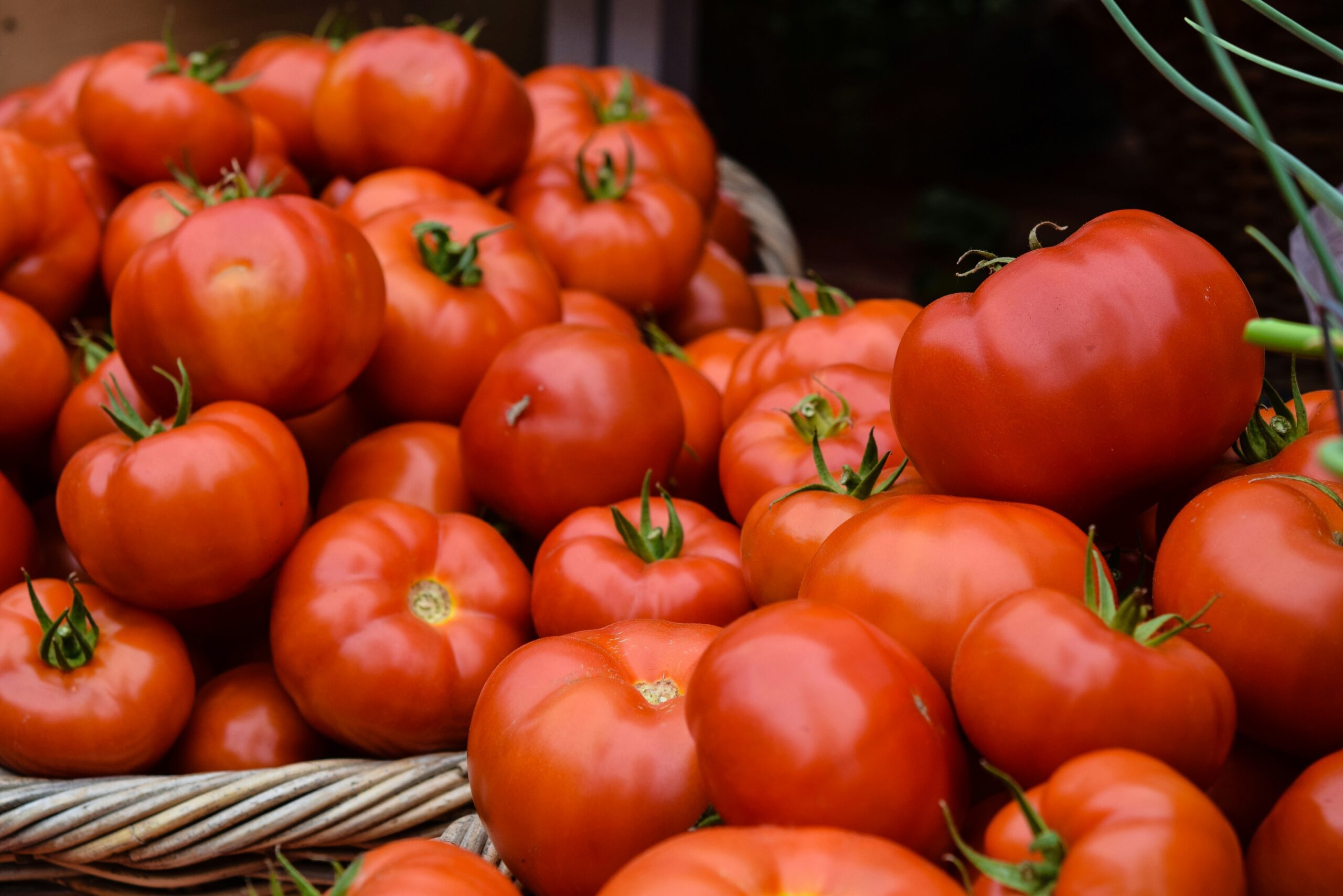 a lot of tomatoes